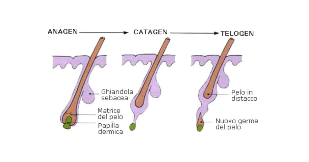 Epilazione Laser a Diodo: benefici e precauzioni Epilazione Laser a Diodo: benefici e precauzioni